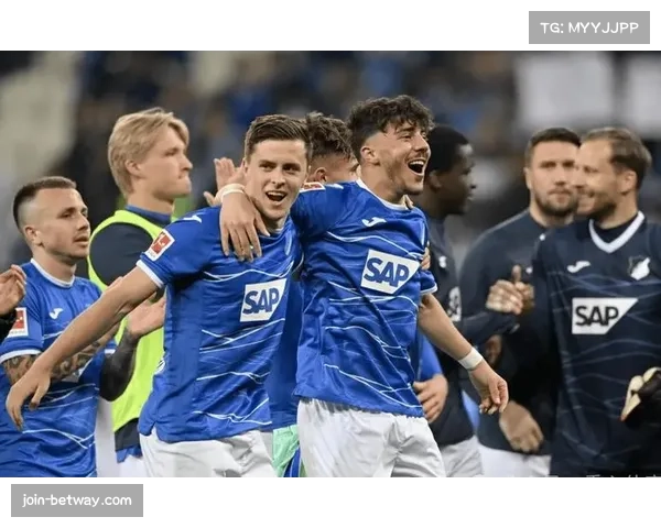 莱比锡前场压迫导致霍芬海姆出球困难 抢断后快速转换得分